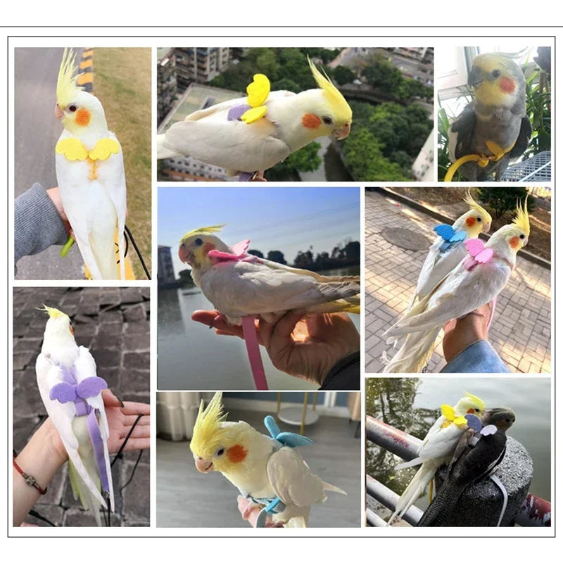 Parrot Flying Harness Leash - Outdoor Flight Training Rope for Cockatiels