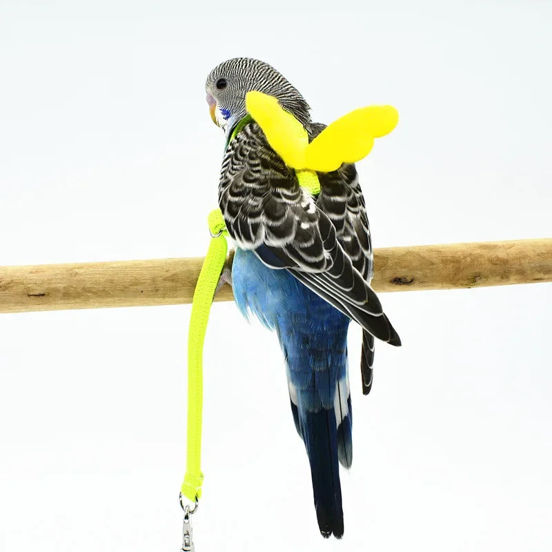 Parrot Flying Harness Leash - Outdoor Flight Training Rope for Cockatiels