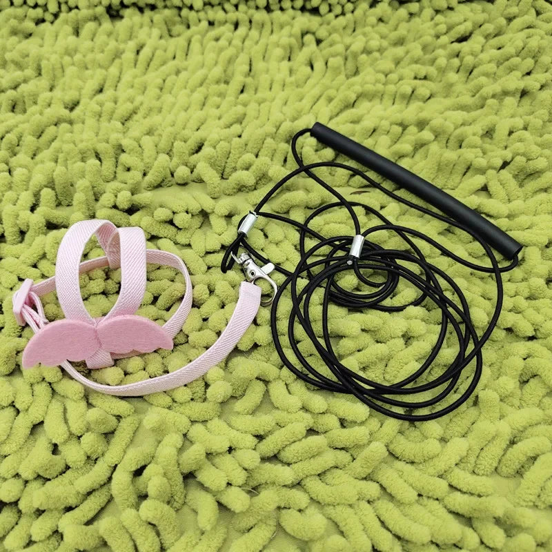 Parrot Flying Harness Leash - Outdoor Flight Training Rope for Cockatiels