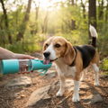 Pet Cats And Dogs Portable Outdoor Drinking Cups
