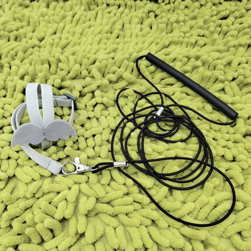 Parrot Flying Harness Leash - Outdoor Flight Training Rope for Cockatiels