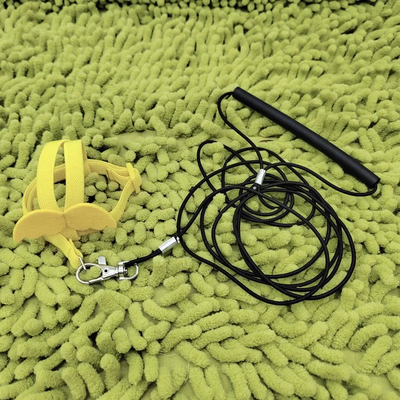 Parrot Flying Harness Leash - Outdoor Flight Training Rope for Cockatiels
