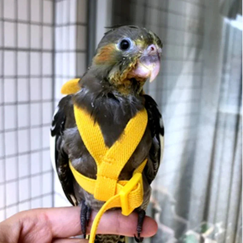 Parrot Flying Harness Leash - Outdoor Flight Training Rope for Cockatiels